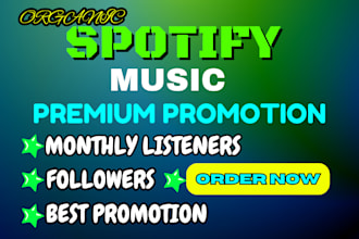 do spotify music promotion through ads campaign