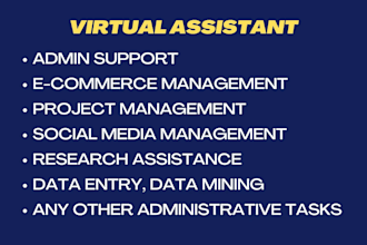 be your virtual assistant in china