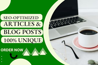 write SEO optimized articles and engaging blog posts to boost your website
