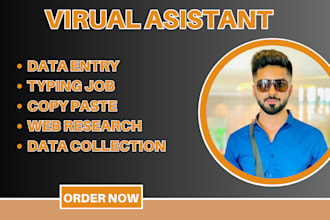 be your virtual assistant for data entry, data collect ,copy paste, web research