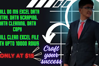 do ms excel data entry, data cleaning, data copy