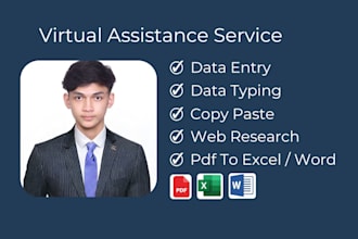 be your virtual assistant for data entry and admin tasks