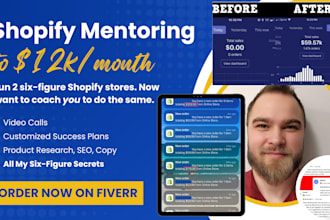 mentor you in shopify dropshipping to 5k per month in 2025