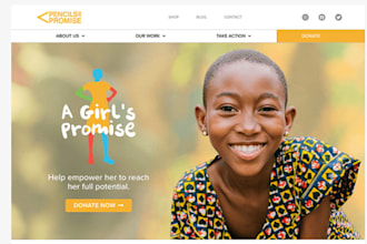 design ngo, non profit website, charity, fundraising donation website