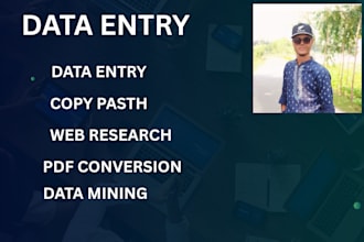 do data entry, data sprinking, web recharge, copy paste,
