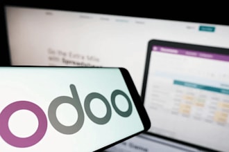 do any kinds of odoo customizations