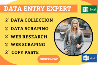 do data entry, web research, web scraping, data, collection, excel work for you