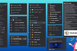 setup new and existing discord servers within 24 hours
