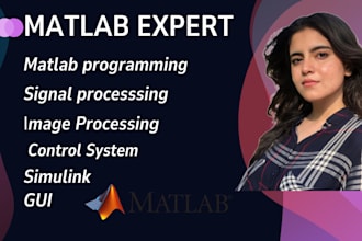 do professional matlab coding, gui, signal and image processing, simulink