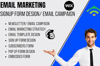 create wordpress contact form, mailchimp sign up form, klaviyo lead capture form