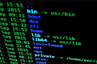 be your expert linux and windows system administrator