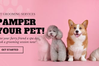 design shopify dropshipping pet store pet shopify website pet shopify store