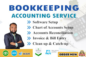 do bookkeeping and accounting setup,cleanup, catchup in quickbooks online,xero