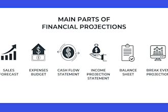 do accounting, financial reporting, analysis, projections and forecasting