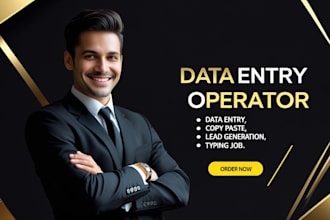 be your virtual assistant for admin support and excel data entry task