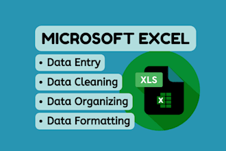 do data entry cleaning formatting and create custom excel sheet