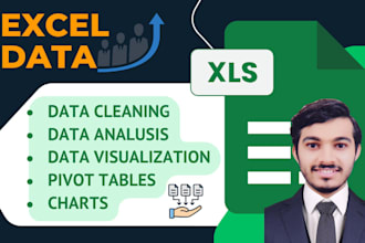 do excel data cleaning, analysis, create pivot table, charts