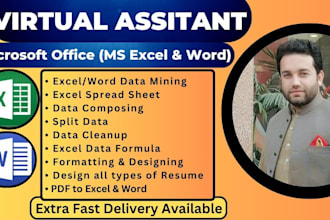 professionally format, merge, and edit data in microsoft excel and word