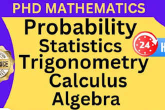do economics, statistics, business, finance, accounting, econometrics tasks
