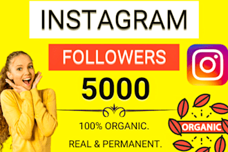 instantly add 5,000 permanent instagram followers