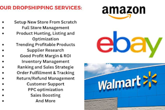 provide VA services for walmart, ebay and amazon