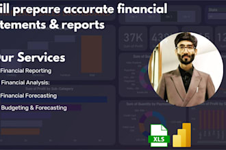 provide financial and accounting services
