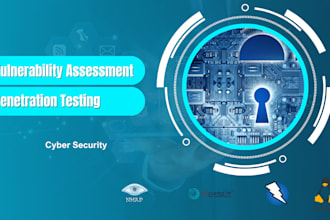 do vulnerability assessment and pentesing on your website or web application