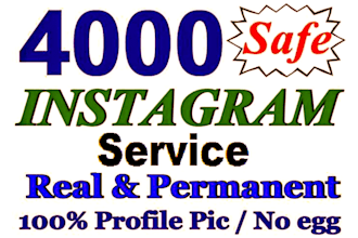 instantly gain 4000 organic followers on instagram
