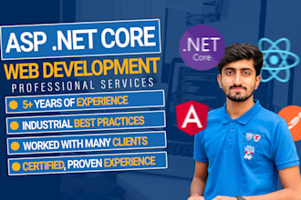 develop scalable asp net mvc, API web application angular