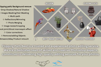 do professional clipping path, photo editing, and retouching
