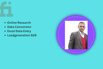 do online research, excel data entry and file conversion