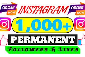 increase 5000 instagram followers with lifetime guarantee