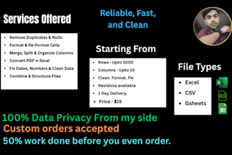 clean, format, and organize your excel data professionally