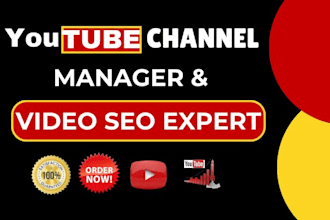 be your youtube manager, you tube se o,channel manager, video seo, social media