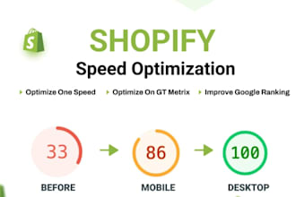 do shopify speed optimization and increase website score