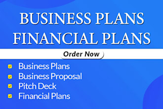 write non profit business plan and do financial consulting