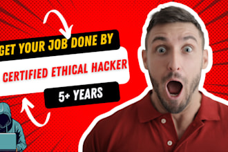 do all web and cybersecurity projects or jobs
