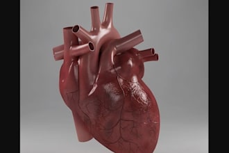 sculpt 3d human anatomy,stl skeleton, kidney,body part, fascia texture in zbrush