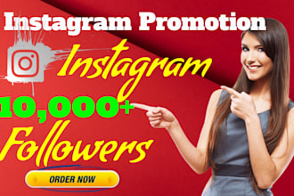 increase 5000 instagram followers with lifetime guarantee
