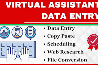 do expert data entry, copy paste, file conversion, excel work and VA