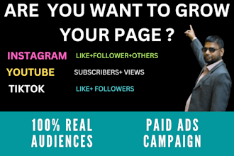 run ad campaign your instagram, youtub and tiktok page to grow organically