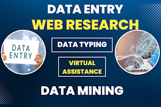 be your virtual assistant for data entry, web research, file conversion, typing