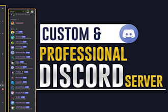 setup custom discord server professionally