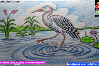 provide easy and advanced drawing video lesson for kids