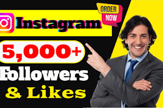 buy 5000 instagram followers fast