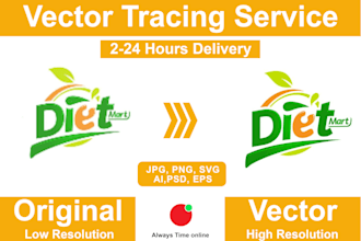 do vector tracing, redraw, edit, refine, and modify in one hour