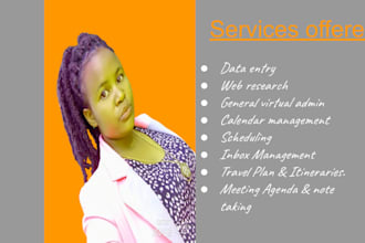 do any virtual assistant, data entry and web research job