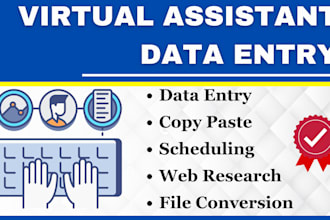 be your expert virtual assistant for data entry, file conversion, and scheduling