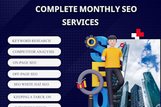 provide complete monthly SEO service for top google ranking