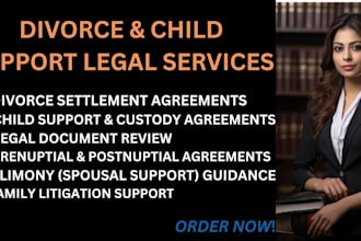 provide divorce settlement, child support, or family litigation services